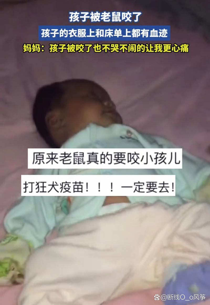 印度医院惊现悲剧，两名新生儿不幸被老鼠咬伤-图1