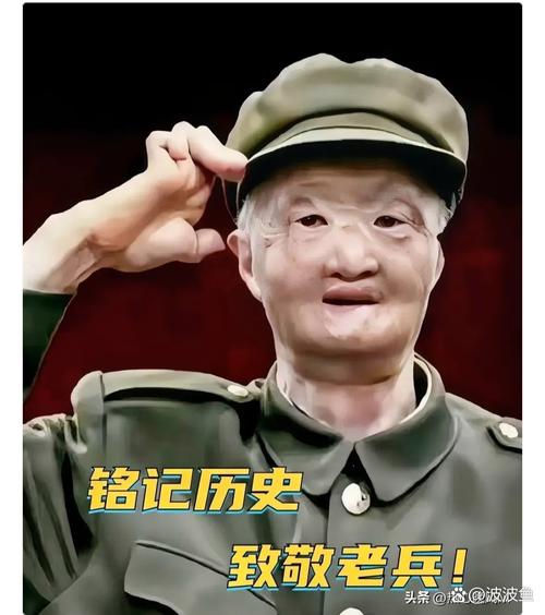 致敬英雄，我们不是老，我们是同志-图2