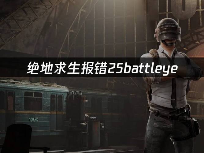 解决吃鸡游戏报错1450的实用方法-图3