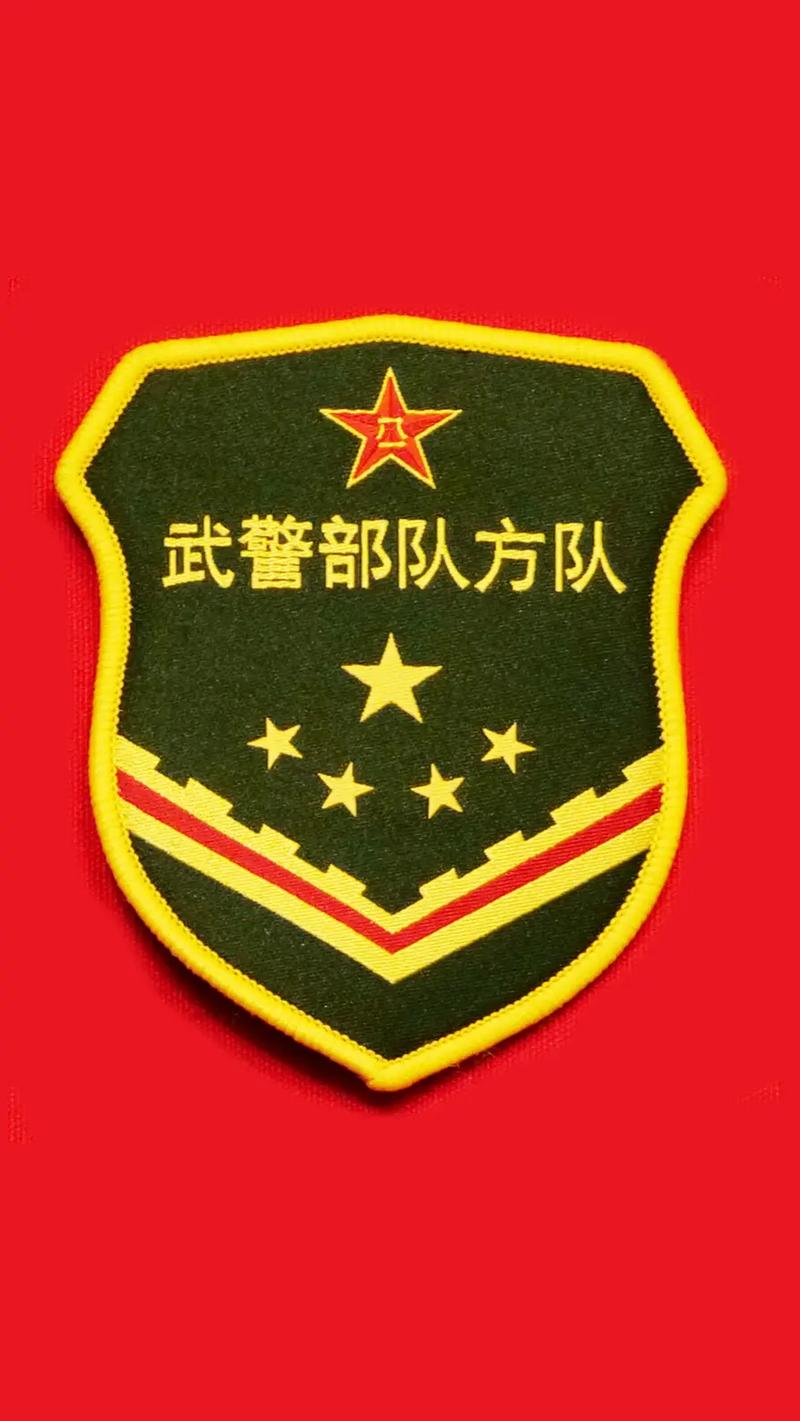 九三阅兵臂章风采解析-图3