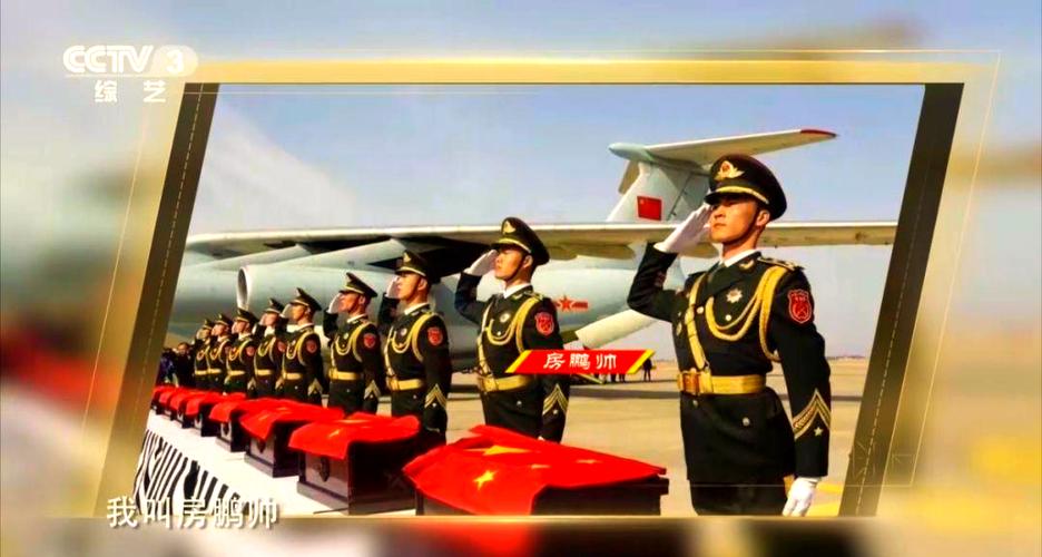 缅怀英烈，老人电视直播正对烈士墓碑观看阅兵式-图3