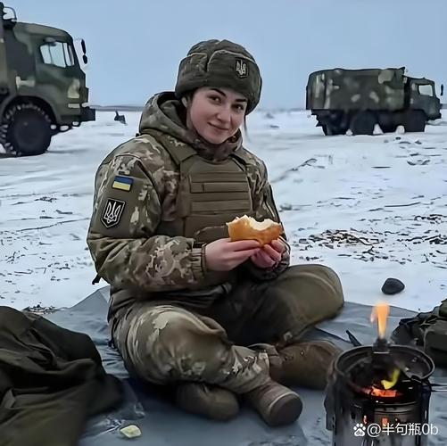 德国拒绝向乌克兰派兵的决定-图3