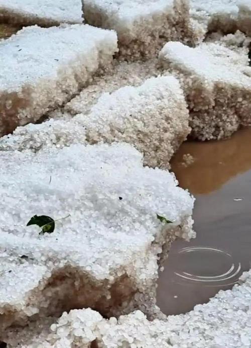 甘南合作市遭遇罕见暴雨冰雹袭击-图3