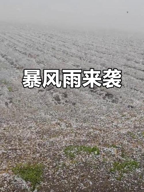 甘南合作市遭遇罕见暴雨冰雹袭击-图2