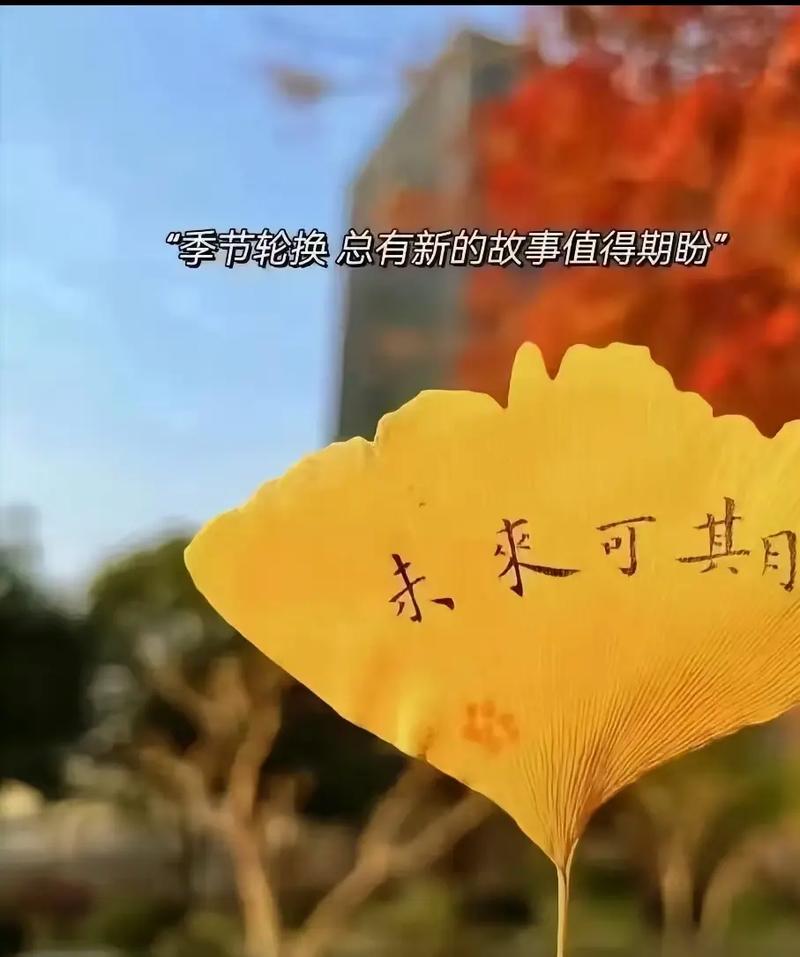 自豪之景，目之所及尽收眼底-图2