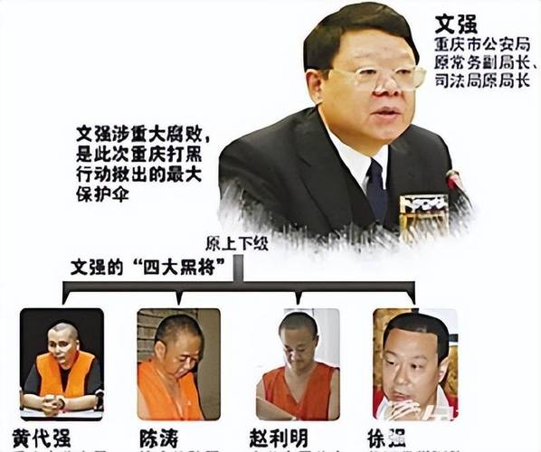 重庆连续10天6厅官被查，反腐力度持续加大-图2