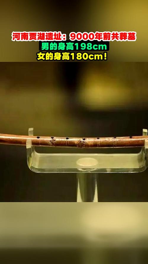 8000年前河南贾湖遗址惊现古木棺，揭秘史前文明之谜-图2