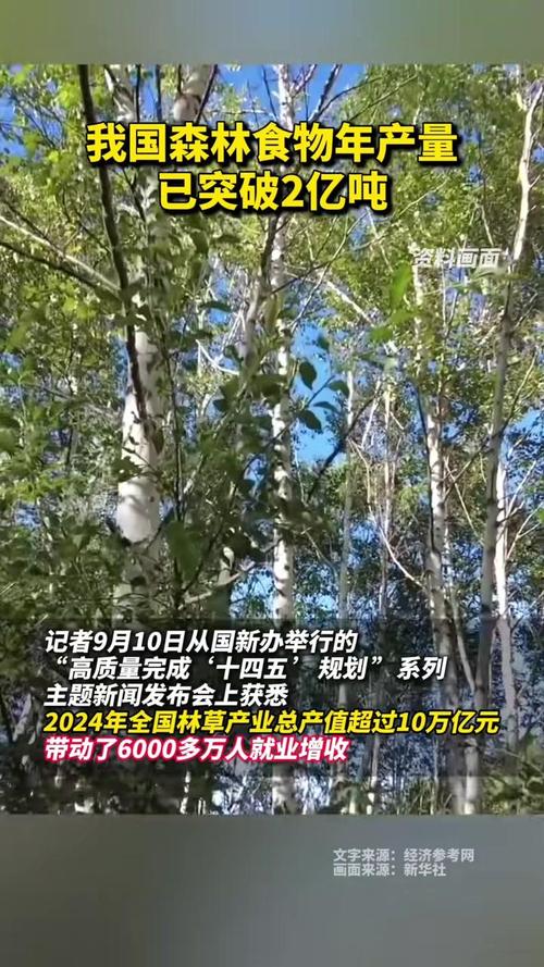 中国森林食物产量突破2亿吨，创历史新高-图1