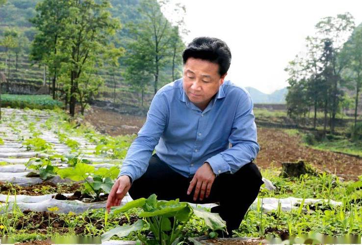 杨桦因失管失教配偶被开除党籍-图2