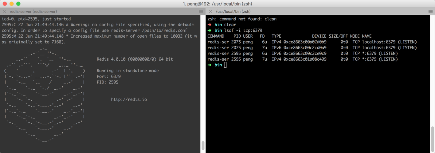 关闭CentOS系统中Redis服务的操作指南-图3 关闭CentOS系统中Redis服务的操作指南-图3