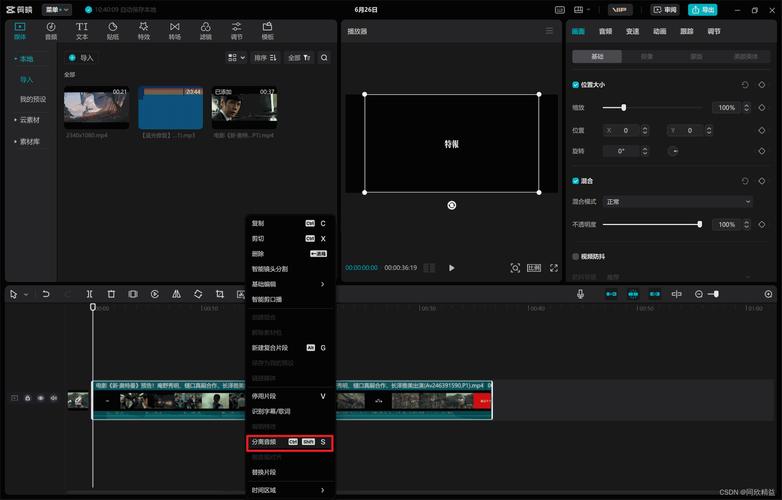 电影级视频剪辑技巧，照片与视频的完美融合-图3