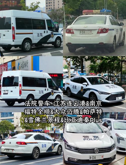 南阳法院警车接亲系谣言-图1