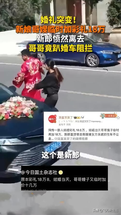 南阳法院警车接亲系谣言-图3