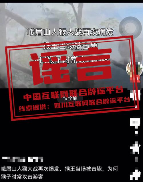 峨眉山猴子被击毙传闻不实,警方紧急辟谣-图2 峨眉山猴子被击毙传闻不实,警方紧急辟谣-图2