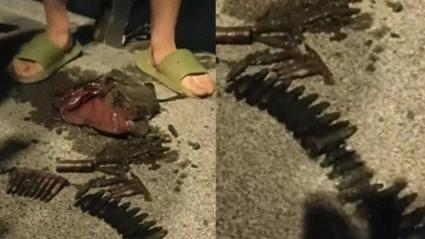 河边垂钓意外收获,钓鱼爱好者钓起30多枚子弹引关注-图1 河边垂钓意外收获,钓鱼爱好者钓起30多枚子弹引关注-图1