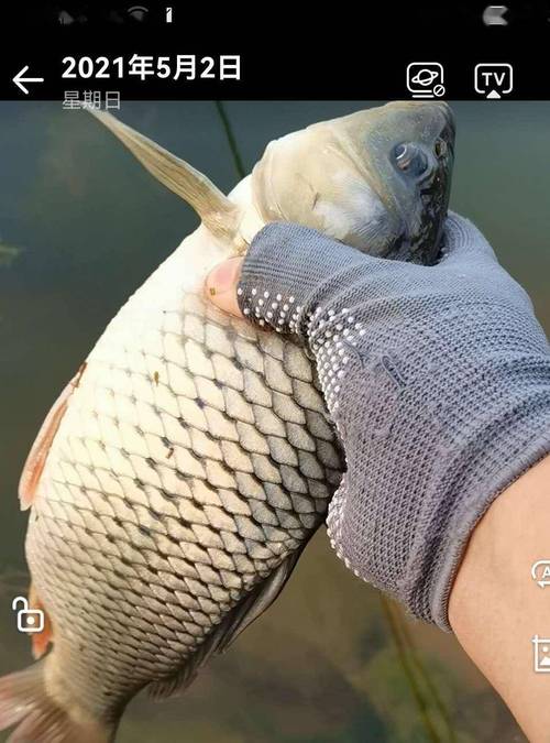 河边垂钓意外收获,钓鱼爱好者钓起30多枚子弹引关注-图3 河边垂钓意外收获,钓鱼爱好者钓起30多枚子弹引关注-图3