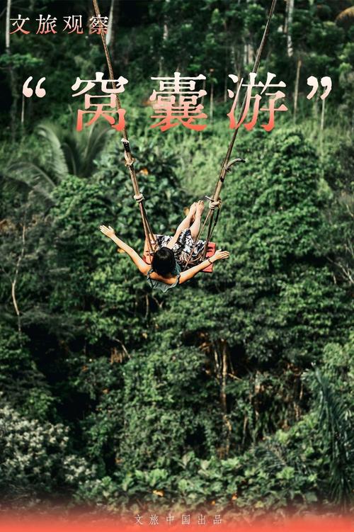 窝囊游热潮背后的社会心理趋势解析-图2