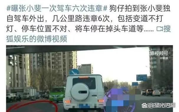 游客自驾撞死6匹马事件，交警权威回应-图1