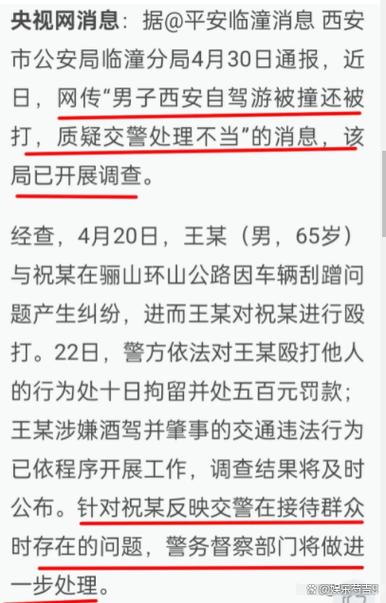 游客自驾撞死6匹马事件，交警权威回应-图2