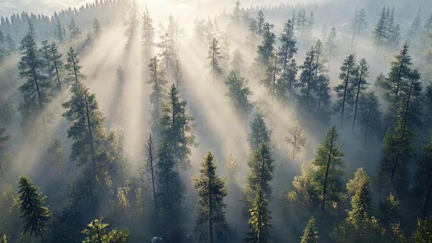打造梦幻朦胧风景视频剪辑技巧揭秘-图3