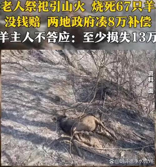 狼群袭击致村民损失惨重，官方回应调查进展-图3