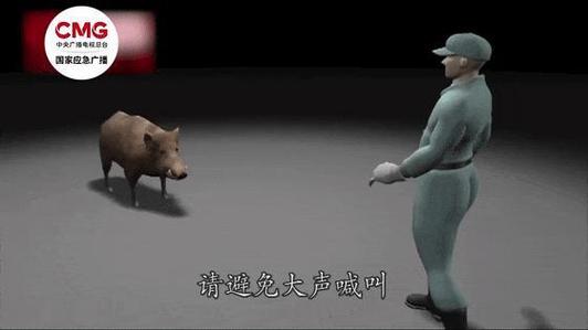 野猪闯入家中，大人逃窜，孩子被遗忘屋内惊魂记-图3