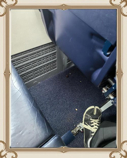 廉价航空旅客创意省钱，穿成‘人体集装箱’引关注-图2