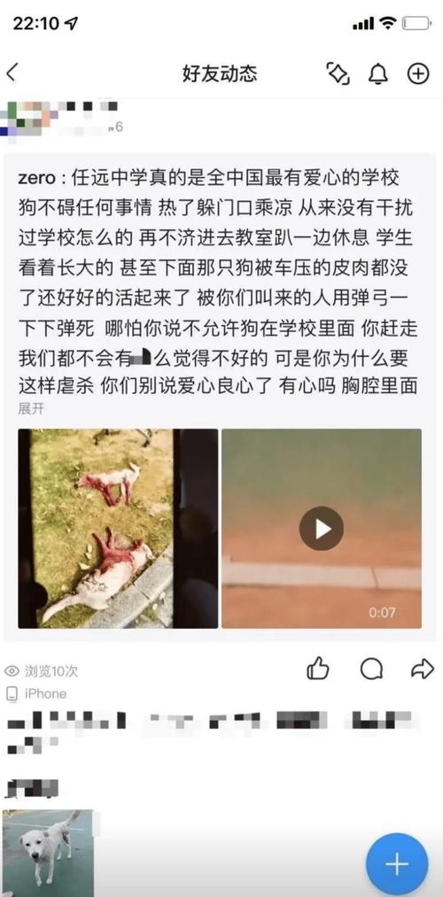 校园保安致流浪狗死亡事件,校长正面回应-图3 校园保安致流浪狗死亡事件,校长正面回应-图3