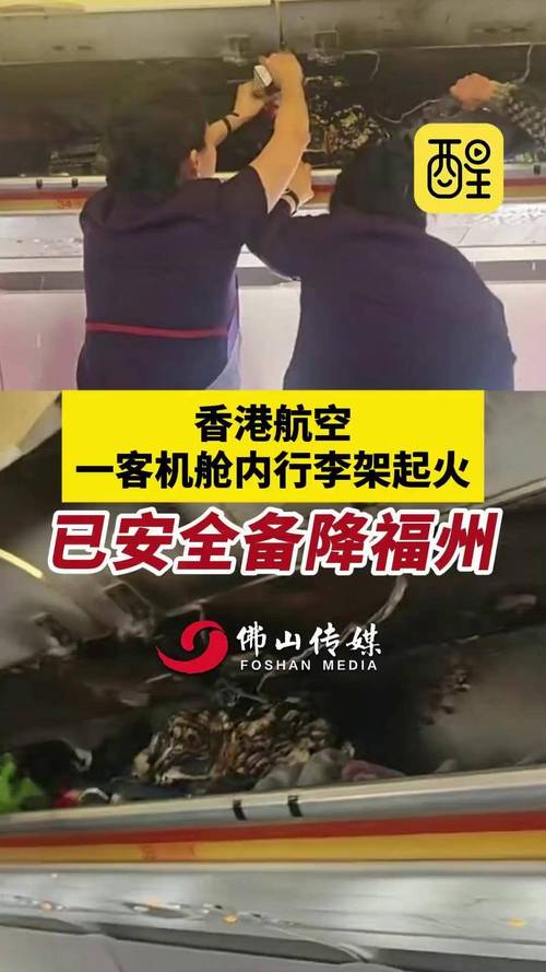 飞机上心系家中鸡蛋,旅客担忧忘关火-图1 飞机上心系家中鸡蛋,旅客担忧忘关火-图1