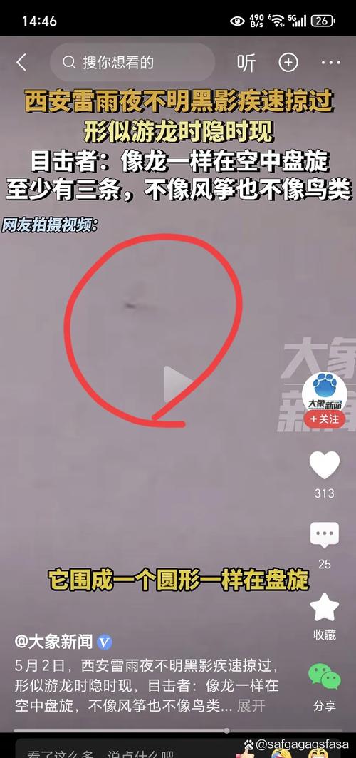 闪电奇观，女子捕捉神秘黑影瞬间-图3