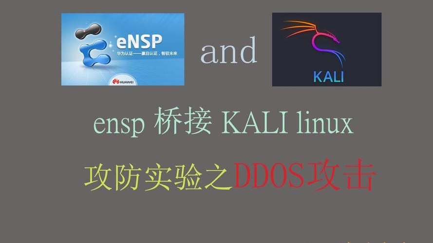 高效配置VMware CentOS桥接模式,物理网卡选择技巧详解-图3 高效配置VMware CentOS桥接模式,物理网卡选择技巧详解-图3