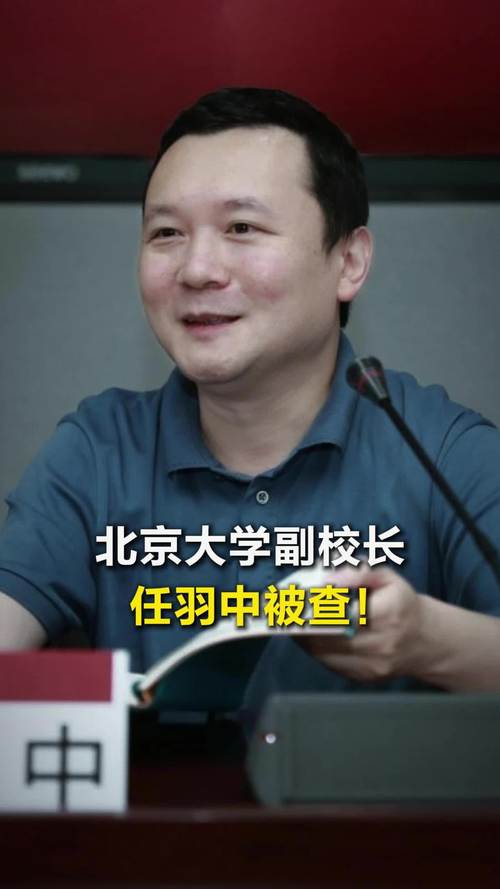 北京大学副校长任羽中被查，学校官方回应-图1