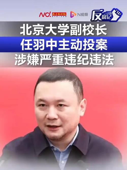 北京大学副校长任羽中被查，学校官方回应-图3