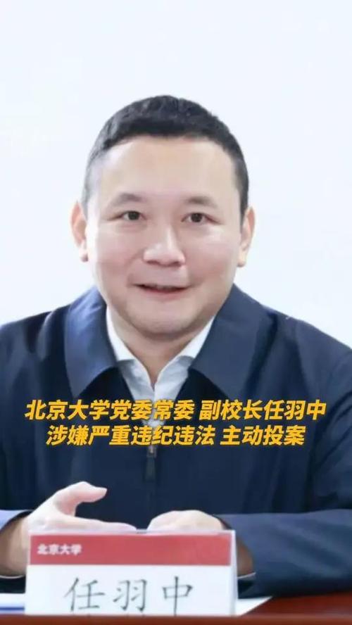 北京大学副校长任羽中被查，学校官方回应-图2