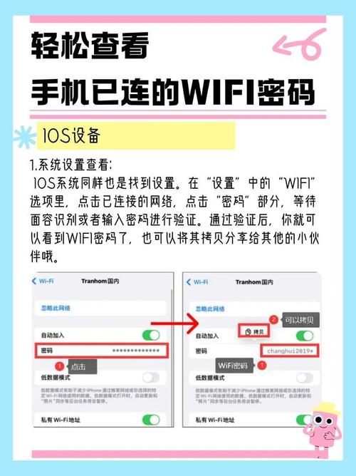 轻松获取手机已连接WiFi密码的方法-图1 轻松获取手机已连接WiFi密码的方法-图1