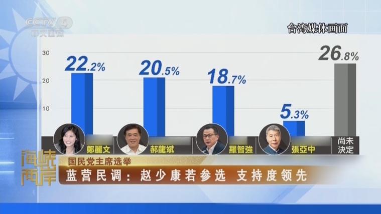 赵少康揭秘，不参选国民党主席背后的原因-图2