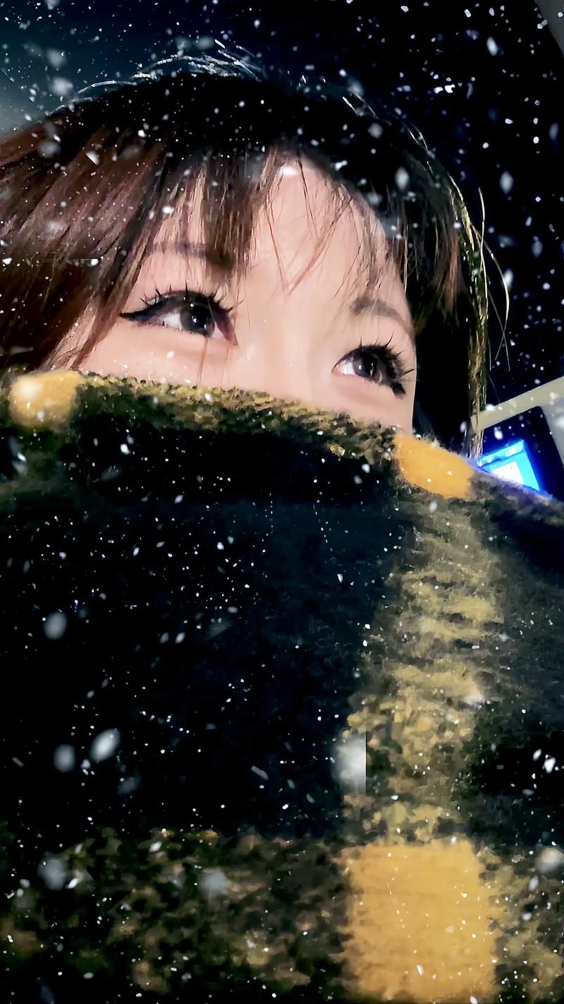 打造浪漫氛围,下雪视频剪辑技巧解析-图2 打造浪漫氛围,下雪视频剪辑技巧解析-图2