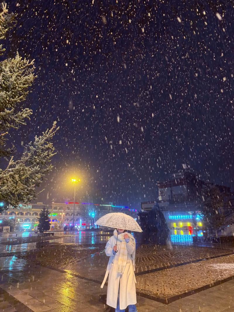 打造浪漫氛围,下雪视频剪辑技巧解析-图3 打造浪漫氛围,下雪视频剪辑技巧解析-图3