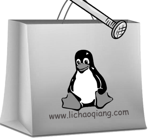 在CentOS 6系统下轻松实现磁盘挂载教程-图3