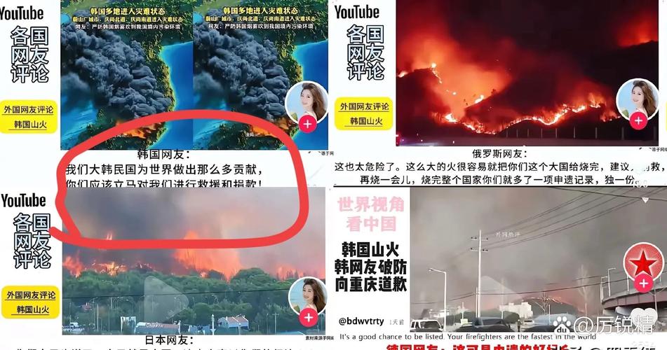 虚拟偶像被侮辱案,网友被判赔偿10万韩元引发热议-图3 虚拟偶像被侮辱案,网友被判赔偿10万韩元引发热议-图3