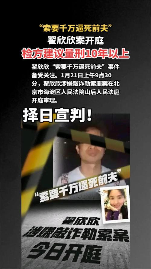 翟欣欣索要千万逼死前夫案终审，获刑12年-图3