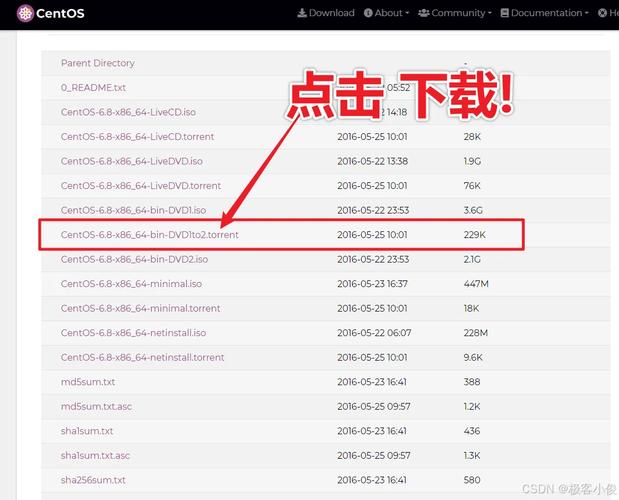 CentOS单网卡多IP绑定实战，一机多能，成本优化之道-图2
