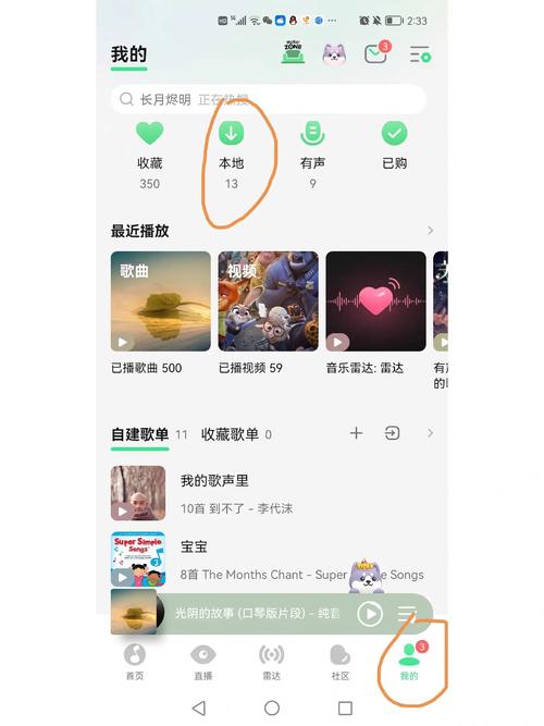 视频剪辑教程，轻松添加背景音乐步骤解析-图3