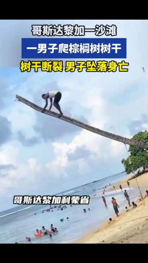 哥斯达黎加沙滩男子坠树身亡事件-图1 哥斯达黎加沙滩男子坠树身亡事件-图1