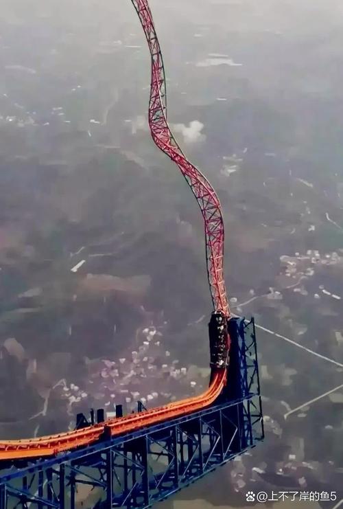 高速过山车悲剧，美国男子时速100公里遇难-图3