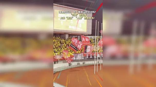 探寻奇观，旗浪——海浪中的独特景观-图1