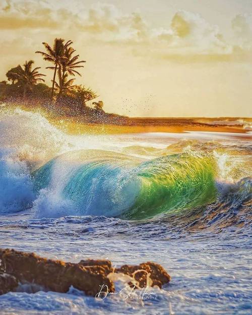 探寻奇观，旗浪——海浪中的独特景观-图3