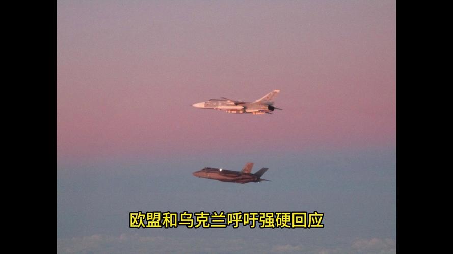 北约成功拦截入侵爱沙尼亚领空俄军机-图1