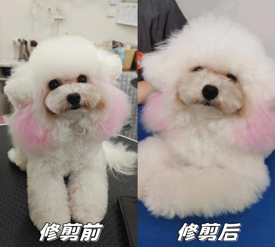 狗头视频剪辑教程,轻松剪出可爱狗头效果-图3 狗头视频剪辑教程,轻松剪出可爱狗头效果-图3