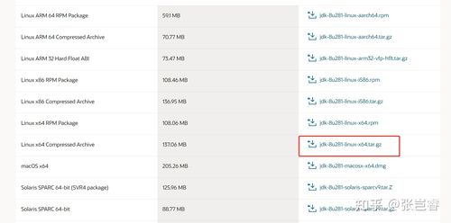 CentOS系统下JDK环境配置指南-图2